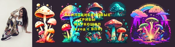 таблы Богданович